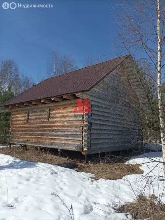 Дом в деревня Бор, 45А (60 м) - Фото 1