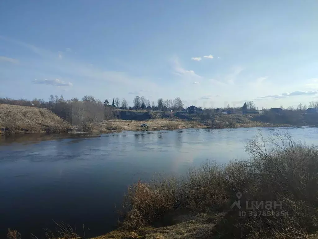 Участок в Новгородская область, Солецкий муниципальный округ, д. ... - Фото 2