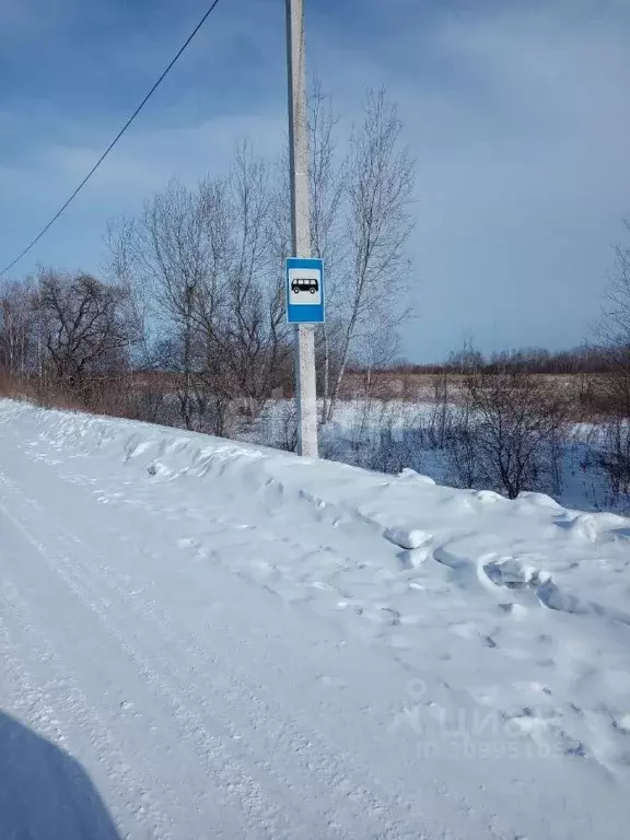 Участок в Хабаровский край, Хабаровский район, Базки садоводческое ... - Фото 1