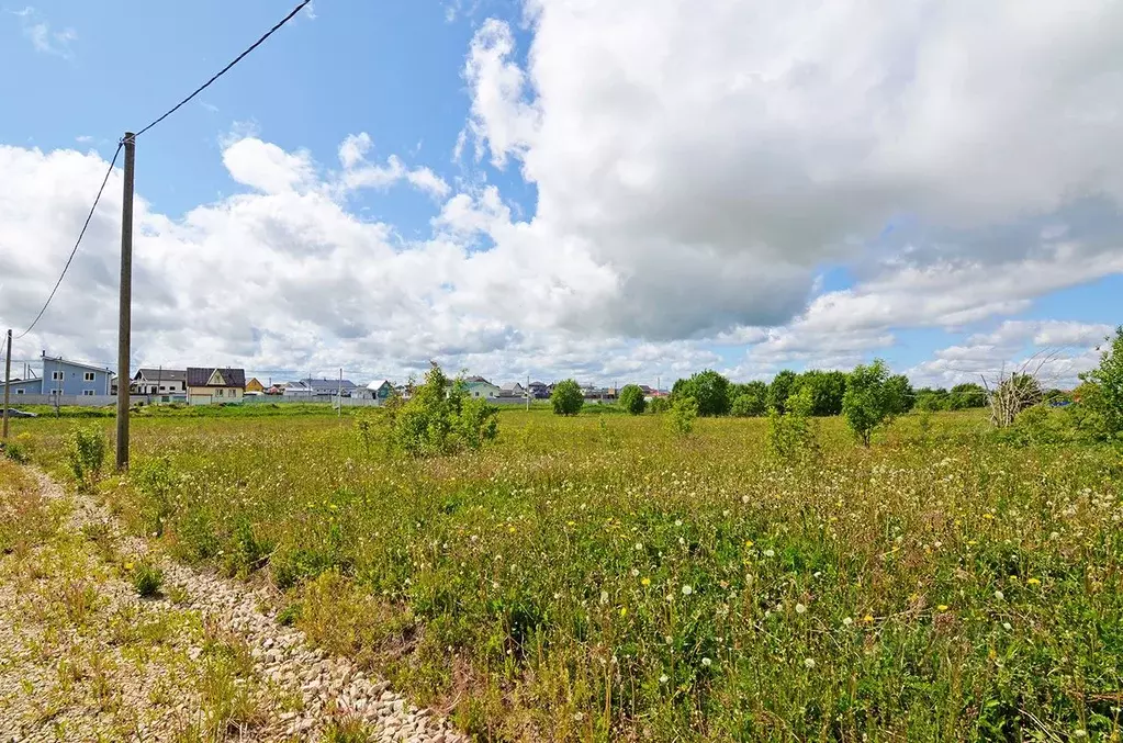 Участок в Ленинградская область, Ломоносовский район, Оржицкое с/пос, ... - Фото 2