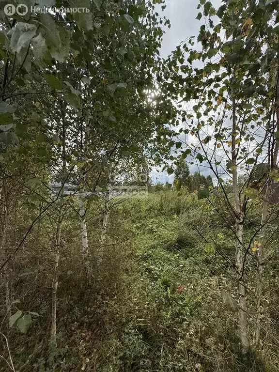 Участок в Ижевск, коттеджный посёлок Западный квартал, улица Алексея ... - Фото 1