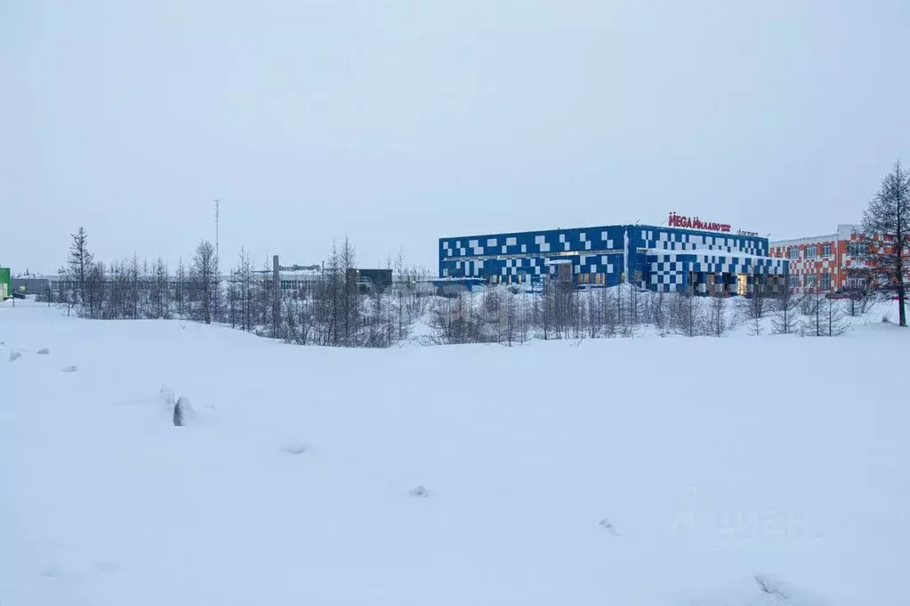 Участок в Ямало-Ненецкий АО, Новый Уренгой ул. Геологоразведчиков ... - Фото 0