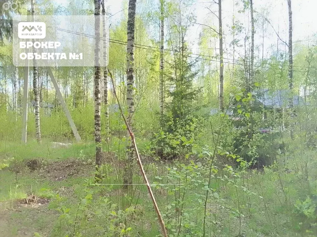 Участок в Всеволожск, Новая улица, 32 (13 м) - Фото 0