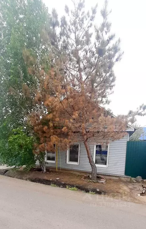 Дом в Омская область, Омск Порт-Артур мкр, ул. Войкова (64 м) - Фото 1