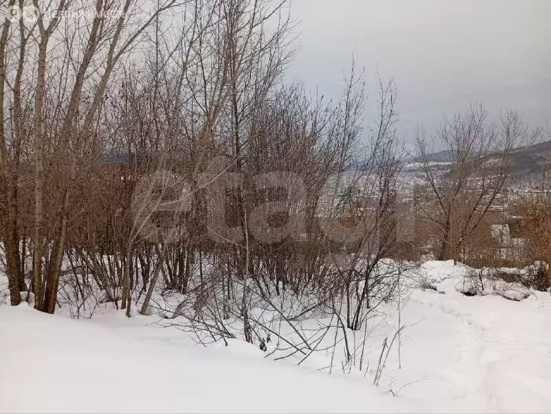 Участок в Горно-Алтайск, СНТ Садовод (4 м) - Фото 2