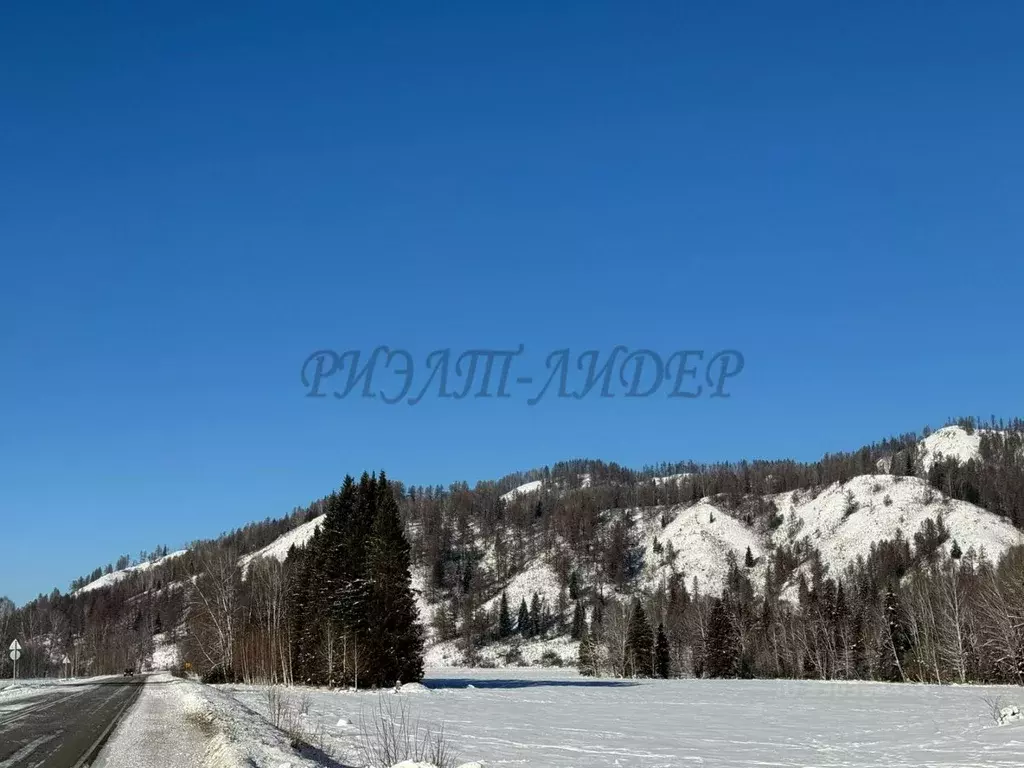 Участок в Алтай, Усть-Коксинский район, с. Курдюм  (54.0 га.) - Фото 1
