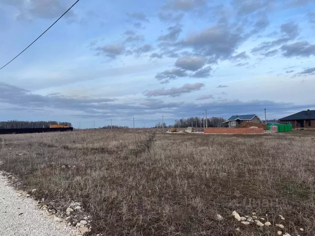 Участок в Рязанская область, Рыбновский муниципальный округ, ... - Фото 2