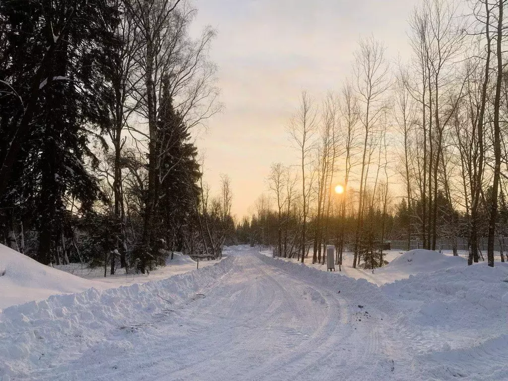 Участок в Московская область, Мытищи городской округ, д. Подольниха, ... - Фото 1