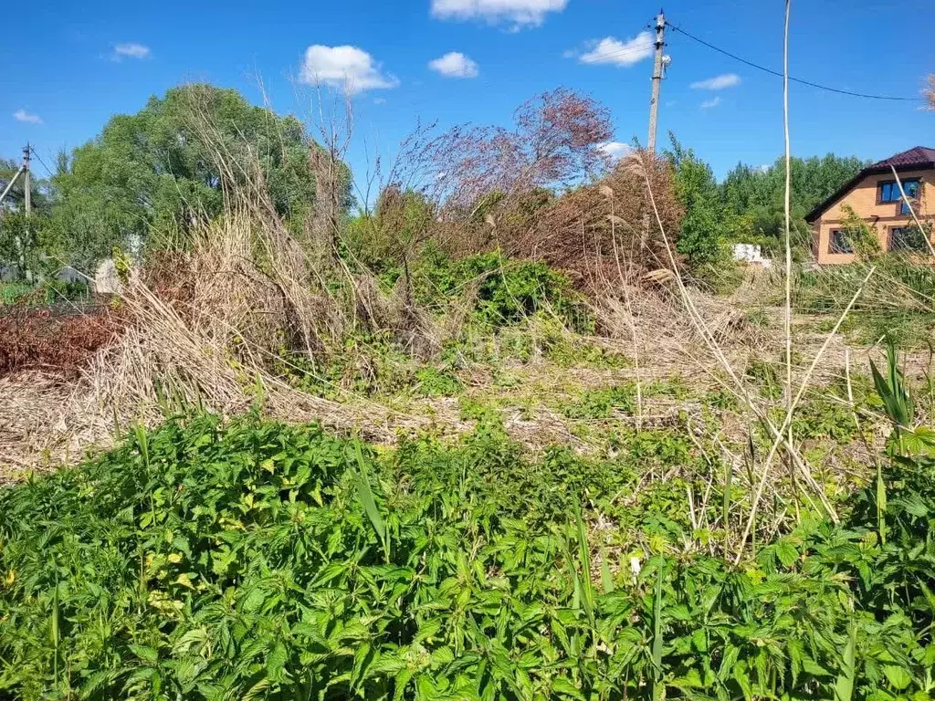 Участок в Белгородская область, Красногвардейский район, Засосенское ... - Фото 1