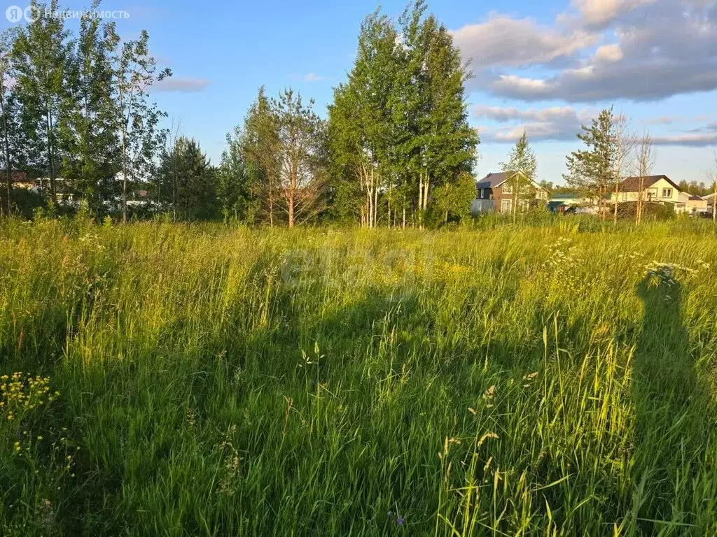 Участок в Республика Мордовия, городской округ Саранск, посёлок ... - Фото 2