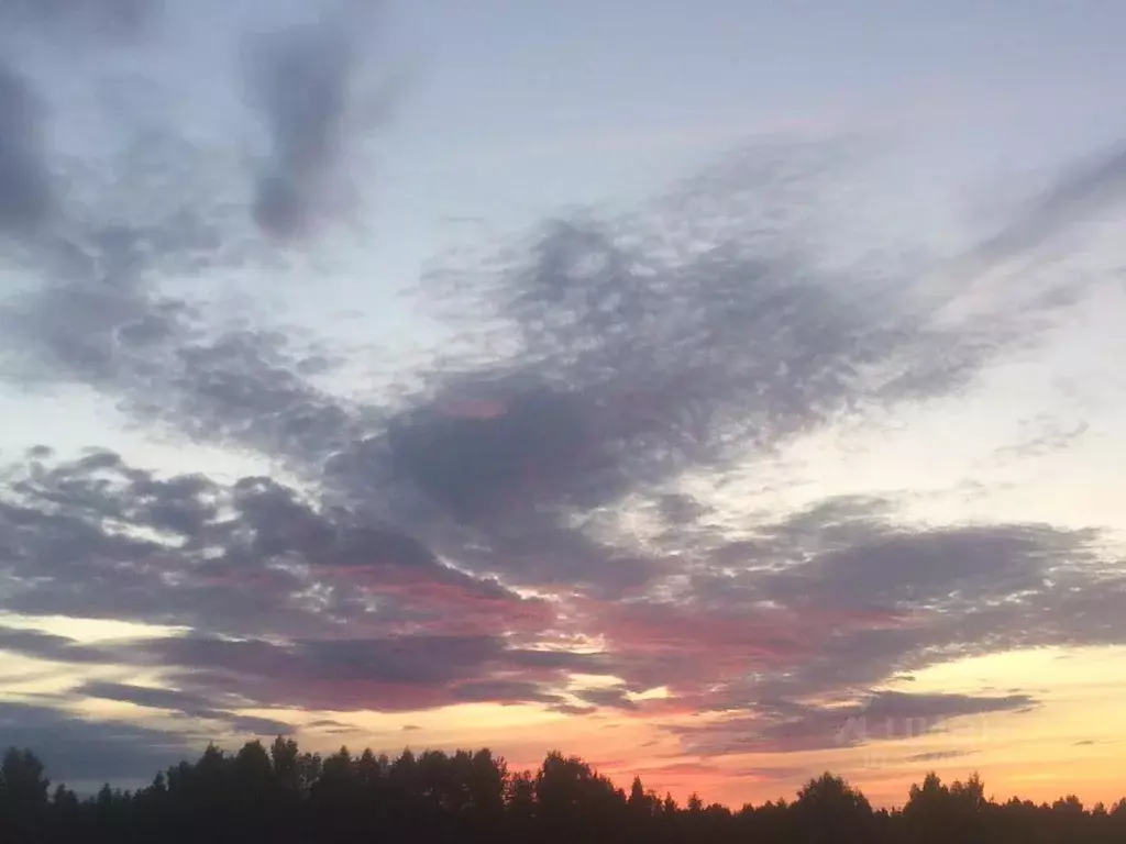 Участок в Кировская область, Слободской район, Шиховское с/пос, д. ... - Фото 2