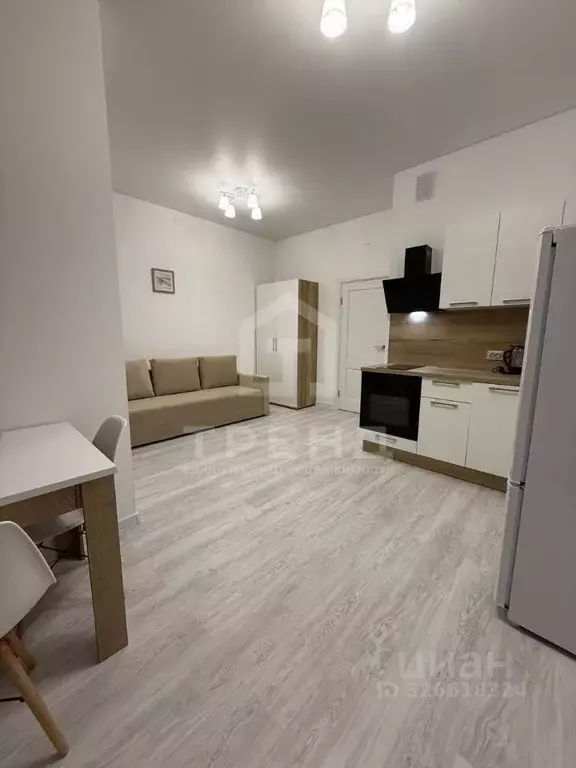 Студия Санкт-Петербург просп. Обуховской обороны, 36 (24.7 м) - Фото 1