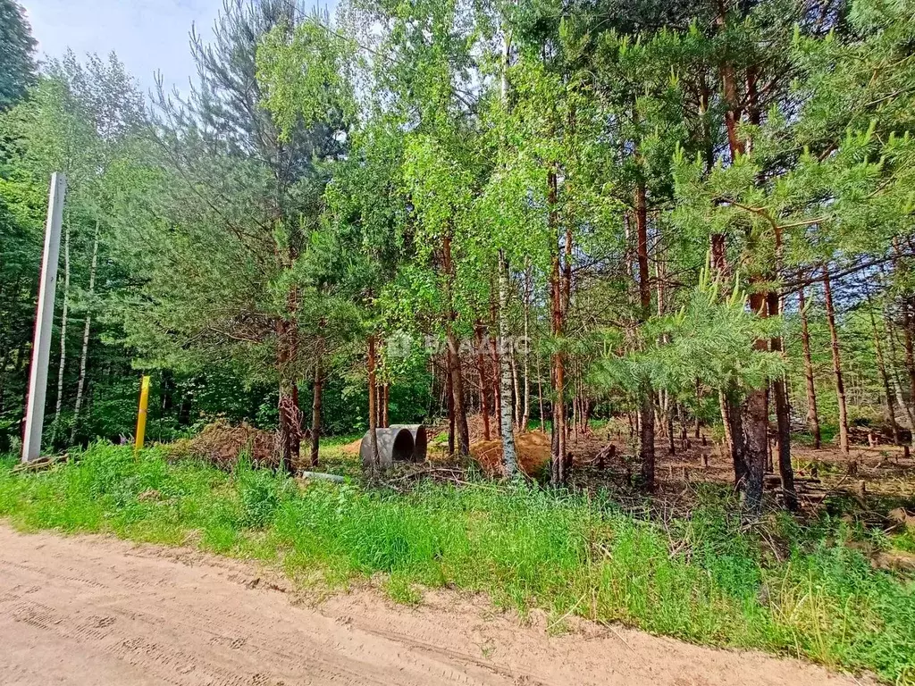 Участок в Владимирская область, Владимир с. Кусуново, пер. Волозин ... - Фото 1