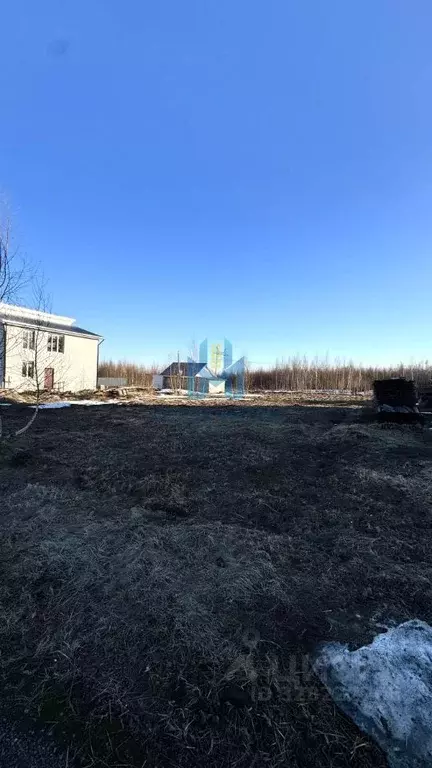 Участок в Нижегородская область, Богородский муниципальный округ, д. ... - Фото 2