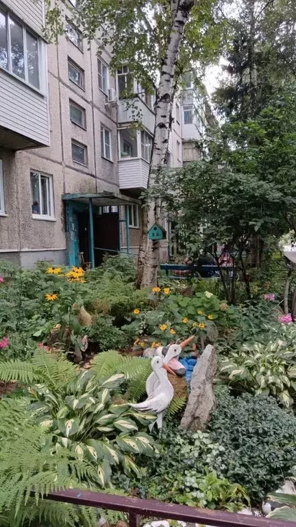 2-к кв. Алтайский край, Белокуриха ул. Соболева, 9 (46.0 м) - Фото 0