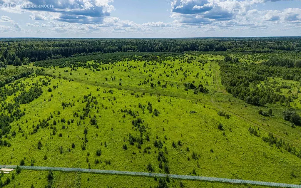 Участок в Московская область, городской округ Ступино, КП Мёд (7.2 м) - Фото 2