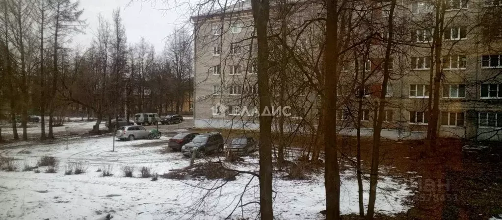 Студия Владимирская область, Ковров Сосновая ул., 15/2 (17.5 м) - Фото 2