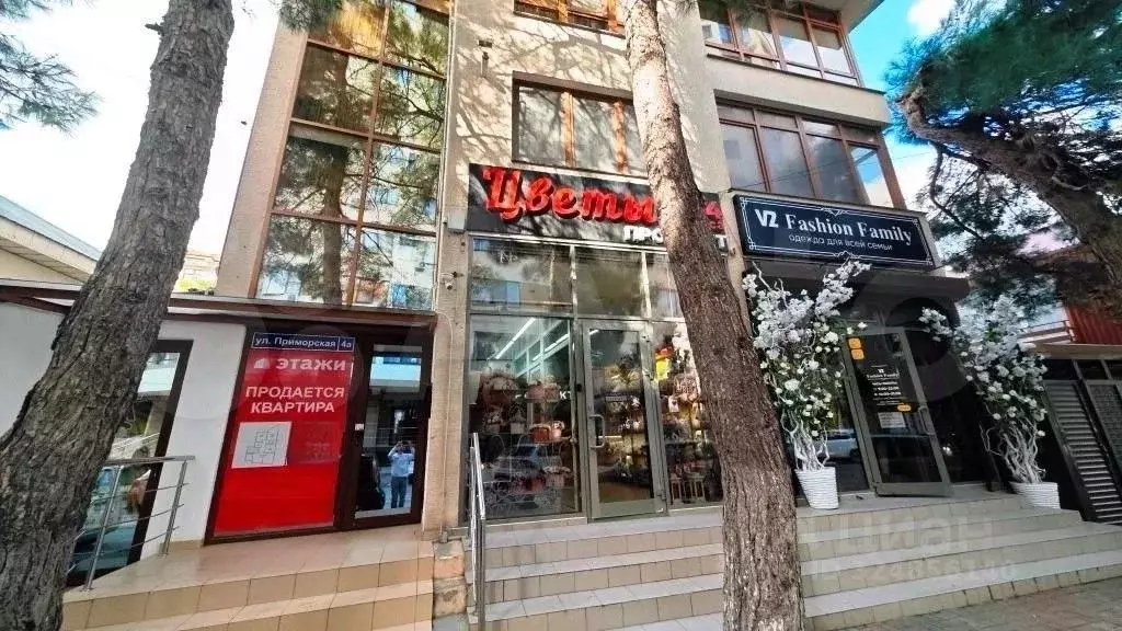 Помещение свободного назначения в Краснодарский край, Геленджик ... - Фото 1