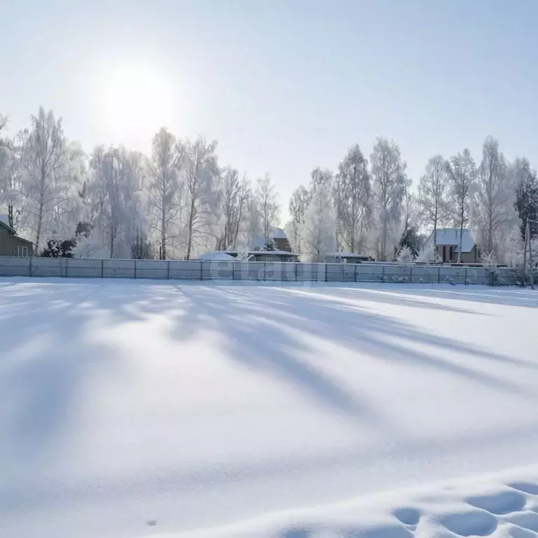 Участок в Московская область, Коломна городской округ, с. Северское ... - Фото 1
