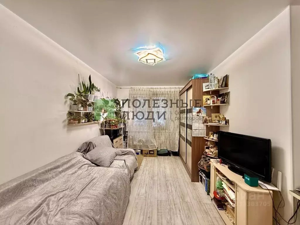 Студия Калужская область, Обнинск ул. Курчатова, 35/1 (27.7 м) - Фото 1