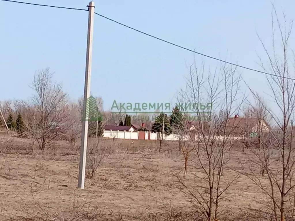 Участок в Саратовская область, Марксовский район, Приволжское ... - Фото 1