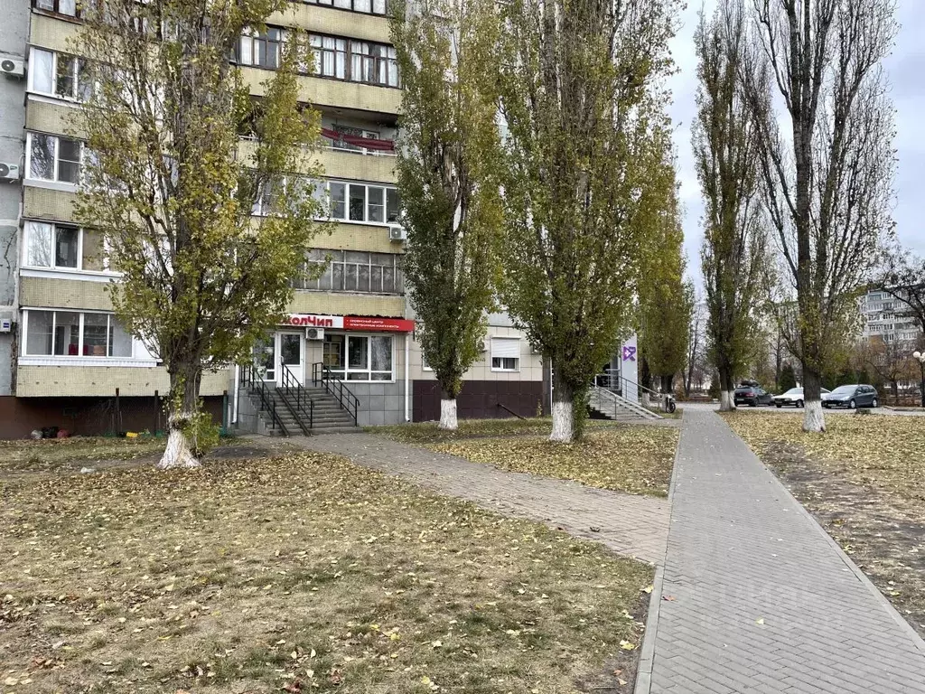 Помещение свободного назначения в Белгородская область, Старый Оскол ... - Фото 0