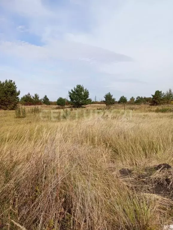 Участок в Липецкая область, Липецкий муниципальный округ, с. Ленино  ... - Фото 2