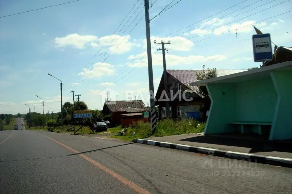 Участок в Владимирская область, Гороховецкий район, Денисовское ... - Фото 1