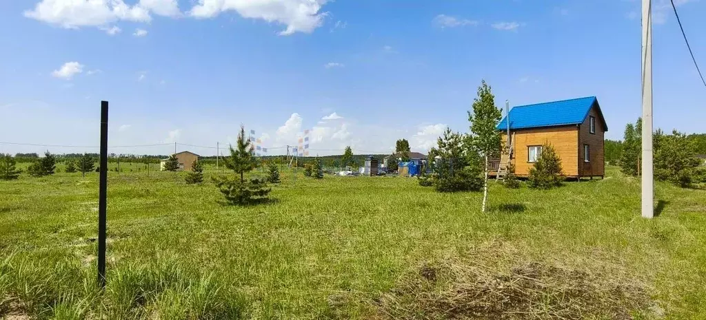Участок в Нижегородская область, Богородский муниципальный округ, д. ... - Фото 2
