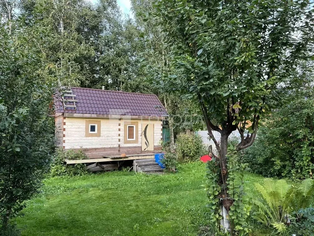 Участок в Новосибирская область, Колыванский район, Сигнал СНТ  (7.0 ... - Фото 1
