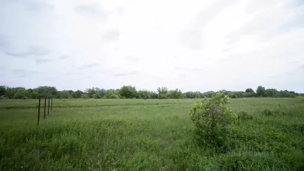 Участок в Томская область, Томский район, Ясная поляна ДНТ ул. Озерная ... - Фото 1