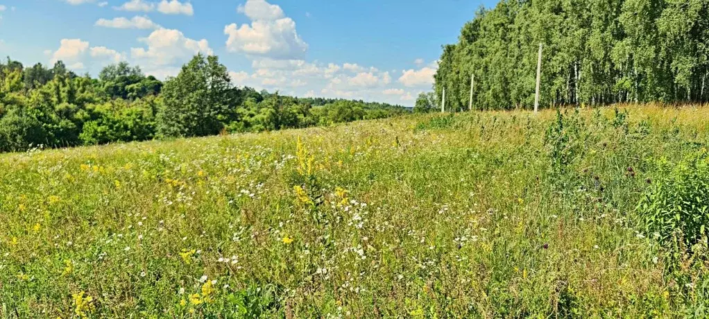 участок в курская область, курск просп. анатолия дериглазова (10.0 . - Фото 0