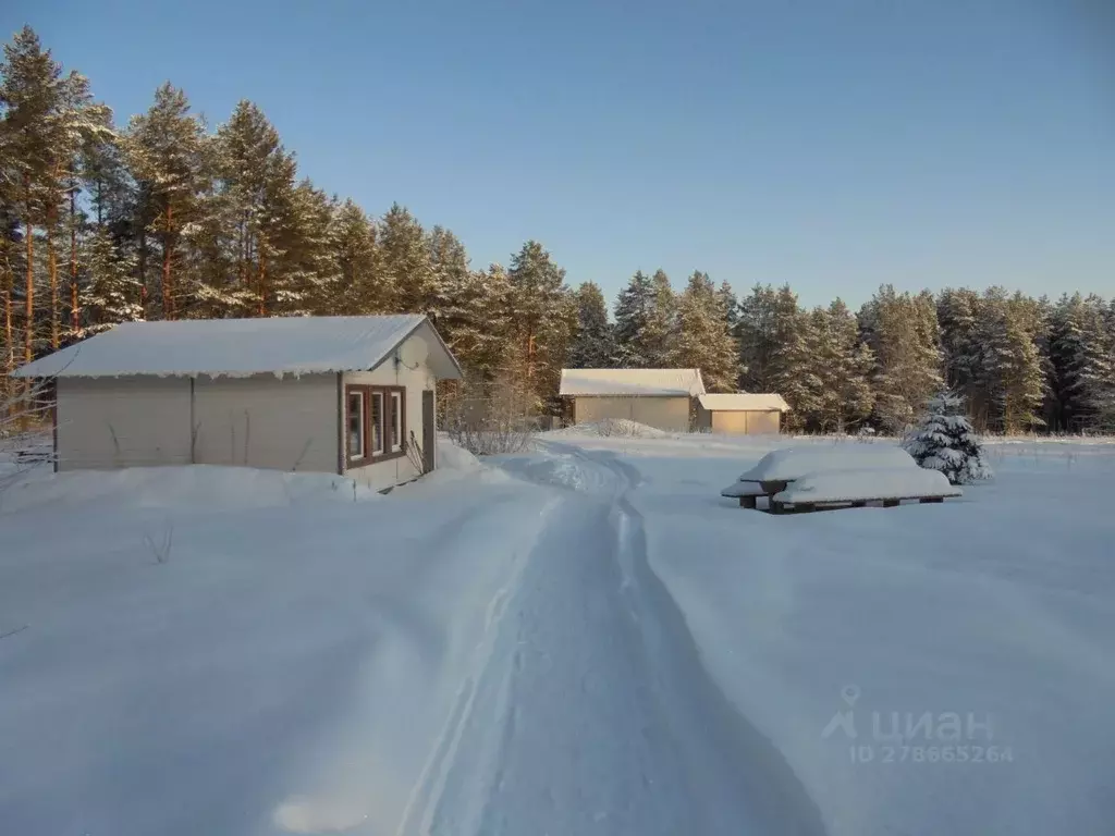 Дом в Карелия, Пряжинский район, пос. Эссойла  (40 м) - Фото 1