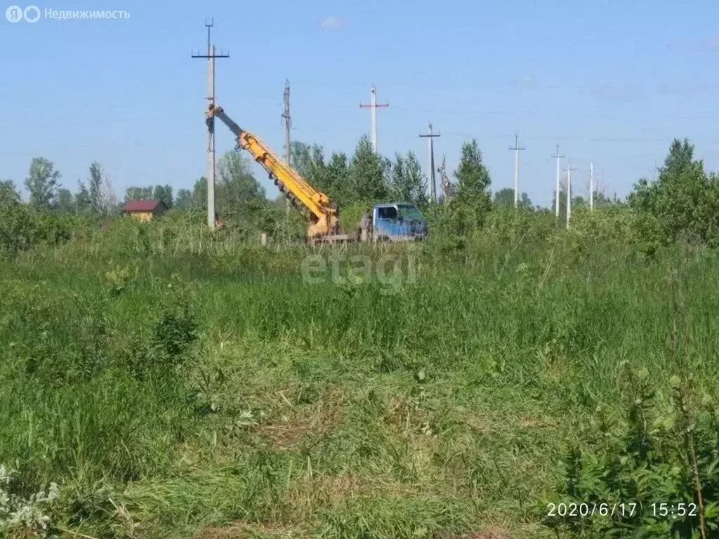 Участок в Колыванский район, ДНТ Союз силовых структур Родины (6 м) - Фото 1