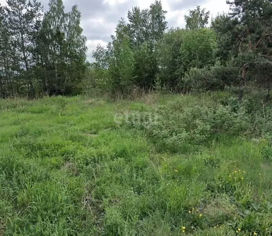 Участок в Свердловская область, Сысертский муниципальный округ, Полет ... - Фото 1