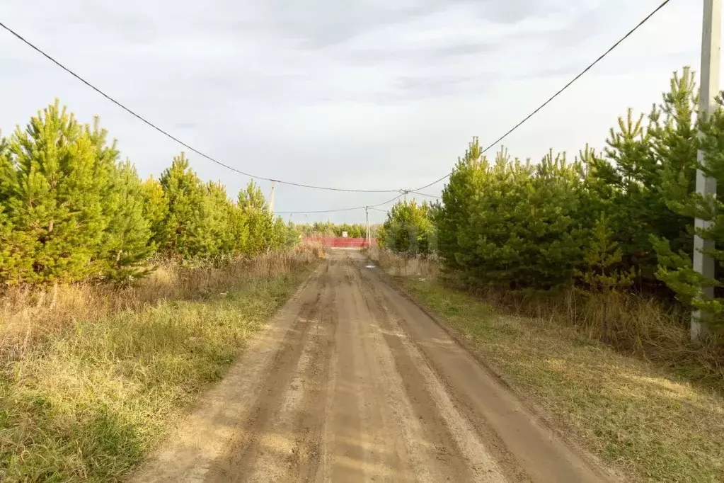 Участок в Тюменская область, Тюменский район, с. Каменка, Подушкино ... - Фото 0