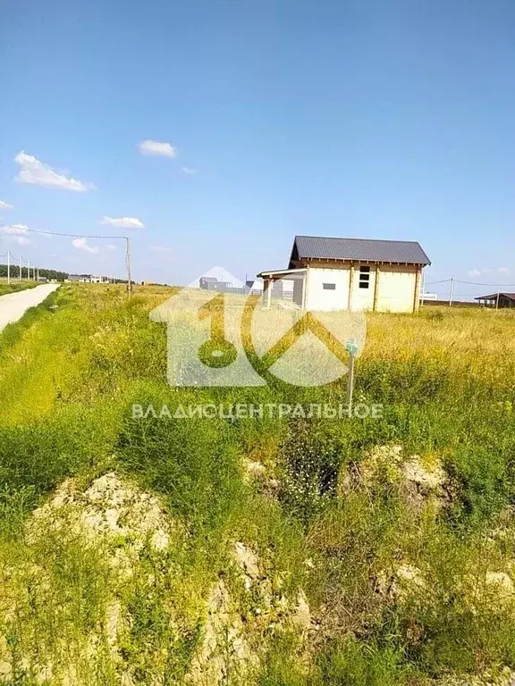 Участок в Новосибирская область, Ордынский район, Порт Пичуги кп ул. ... - Фото 2