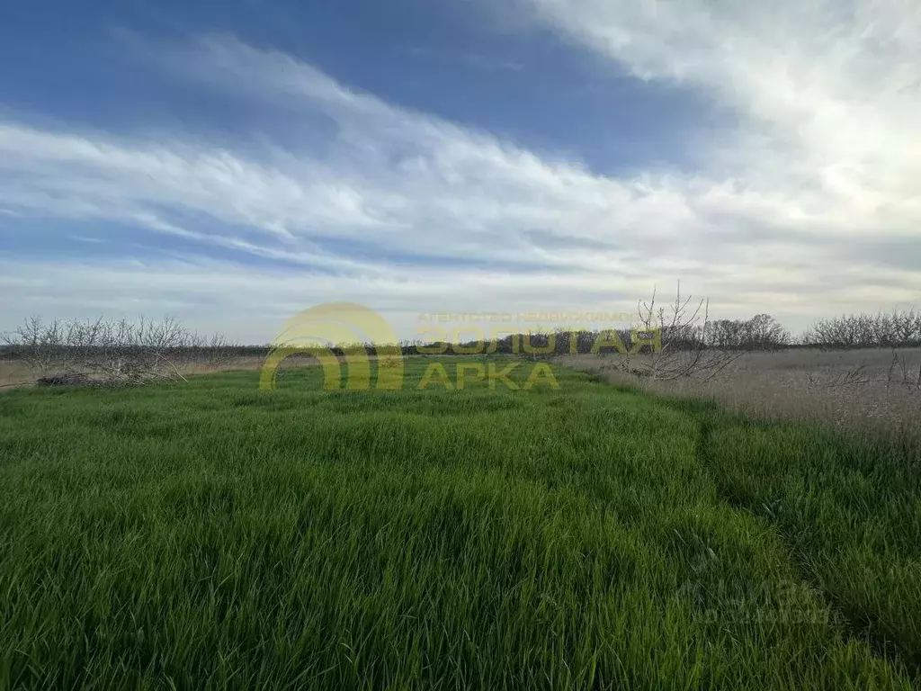 Участок в Краснодарский край, Темрюкский район, Фонталовское с/пос, ... - Фото 1