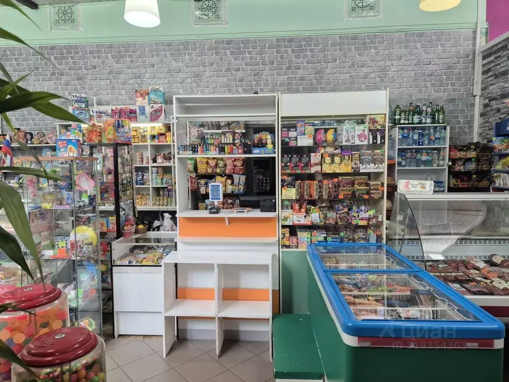 Торговая площадь в Москва пос. Минвнешторга, ул. Ленина, 2 (90 м) - Фото 0