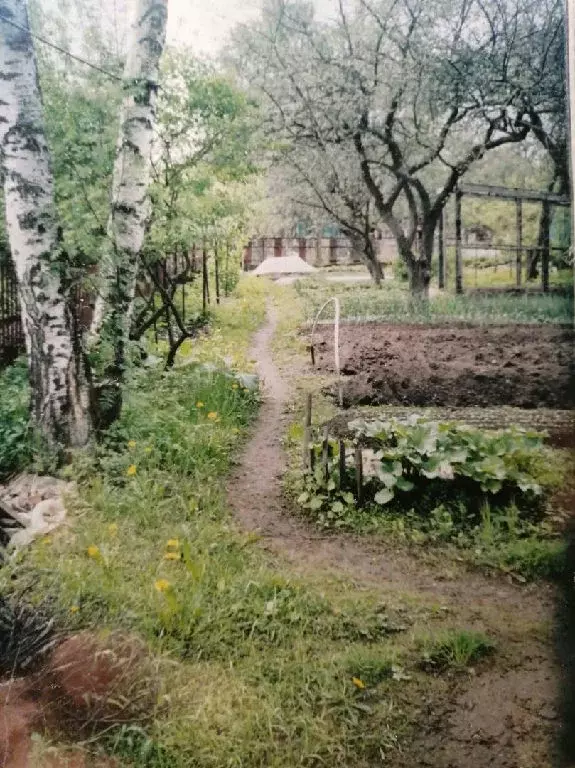 Продается участок в г. Голицыно - Фото 1