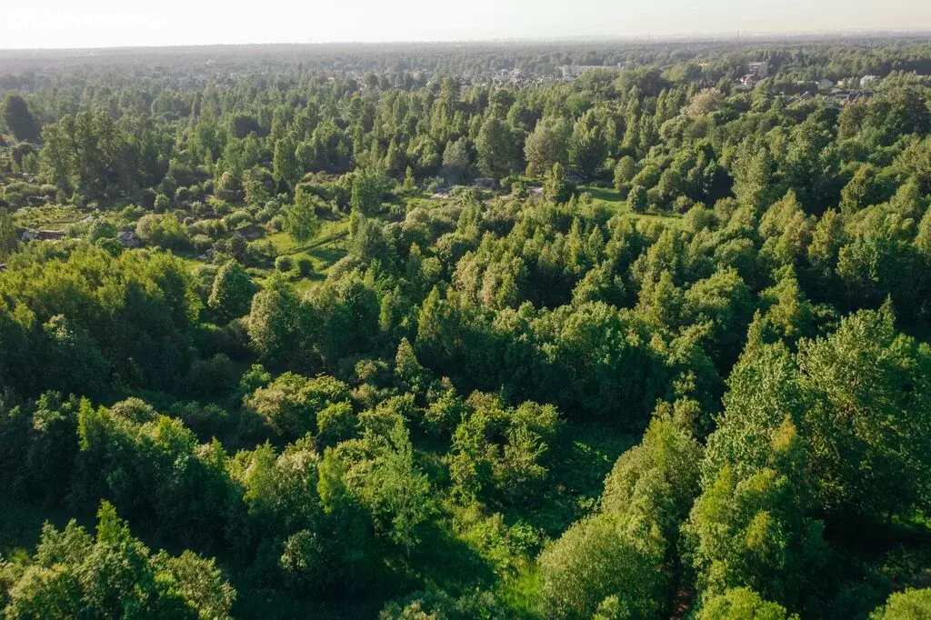 Участок в Пушкин, Октябрьский бульвар (20.9 м) - Фото 1