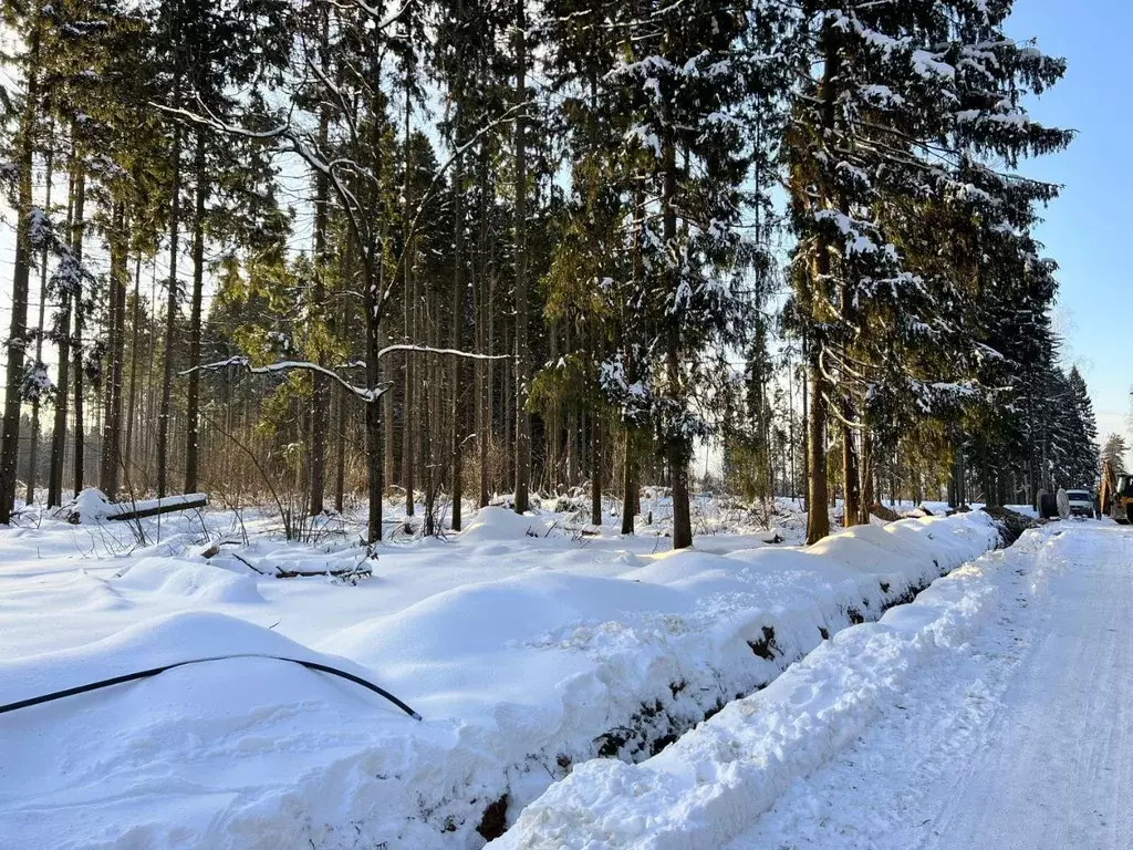 Участок в Московская область, Рузский муниципальный округ, д. ... - Фото 1