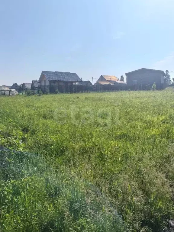 Участок в Кемеровская область, Кемеровский район, с. Андреевка ул. ... - Фото 1