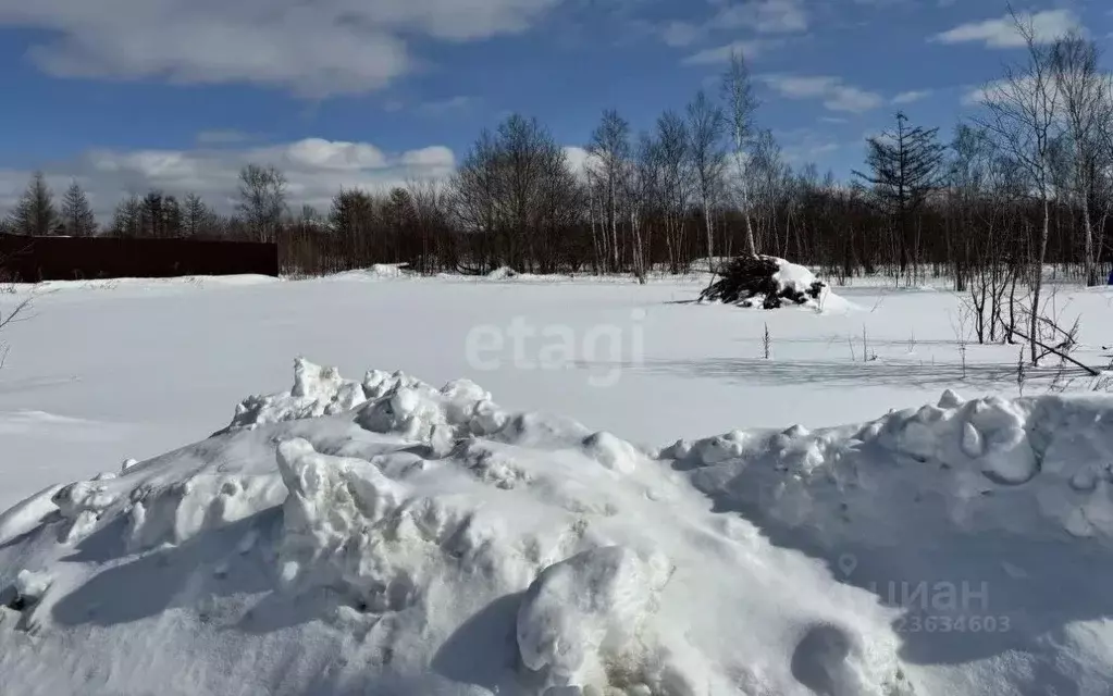 Участок в Сахалинская область, Анивский городской округ, с. Мицулевка ... - Фото 2