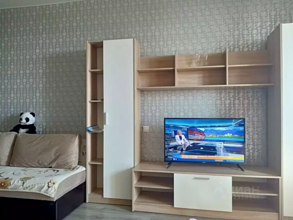 Студия Московская область, Реутов Юбилейный просп., 67 (30.0 м) - Фото 2