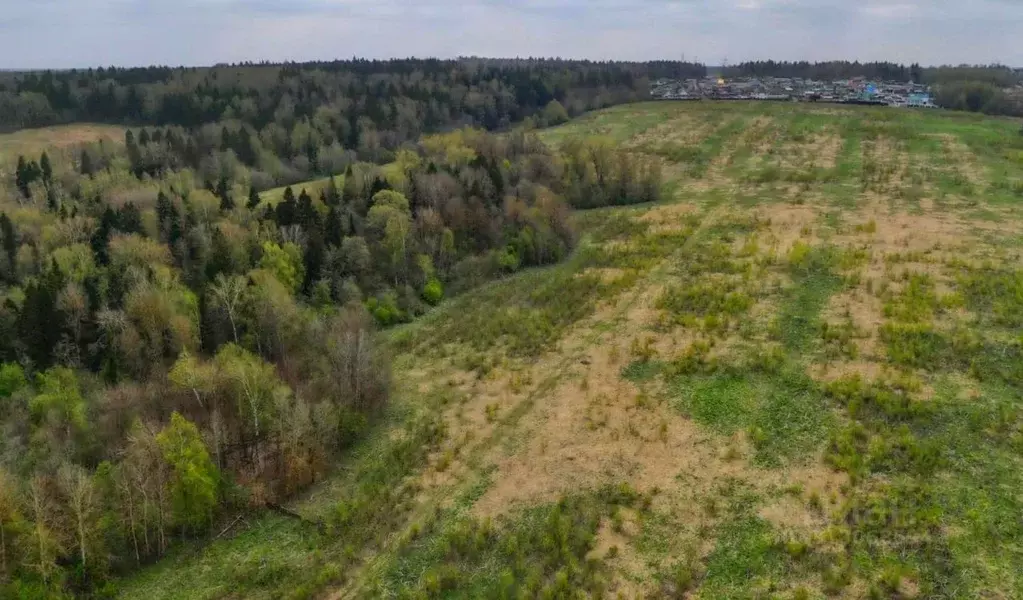 Участок в Московская область, Клин городской округ, д. Соголево  (6.07 ... - Фото 0