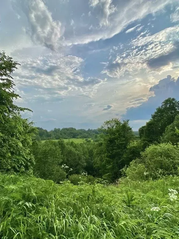 Дом в Костромская область, Красносельский район, Шолоховское с/пос, д. ... - Фото 2