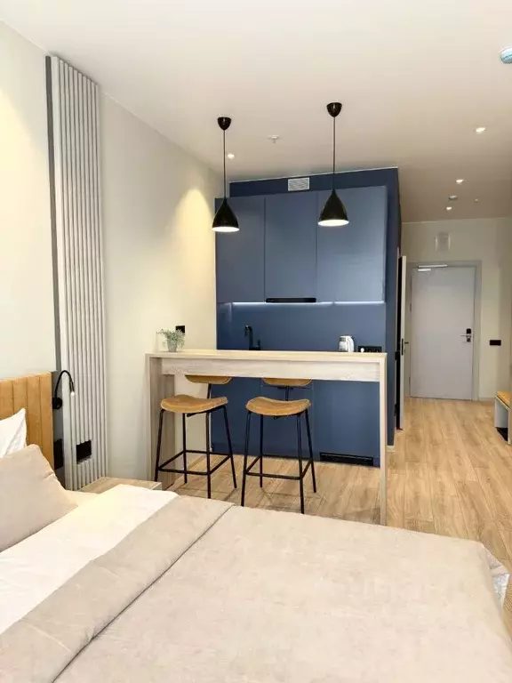 Студия Санкт-Петербург просп. Энергетиков, 8к2 (27.2 м) - Фото 1