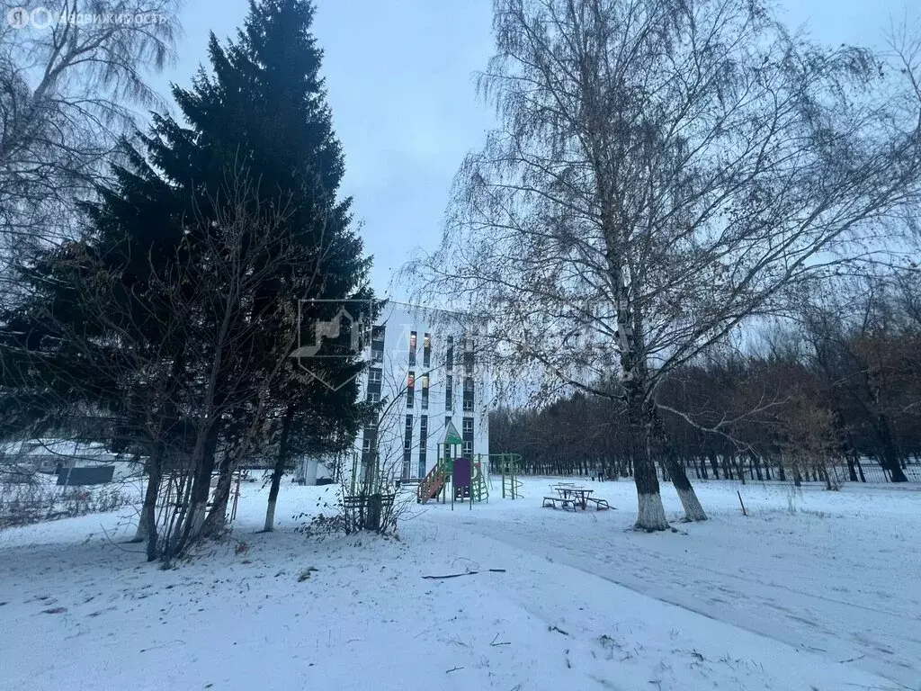 Квартира-студия: Кемерово, улица Ворошилова, 17А (24 м) - Фото 2