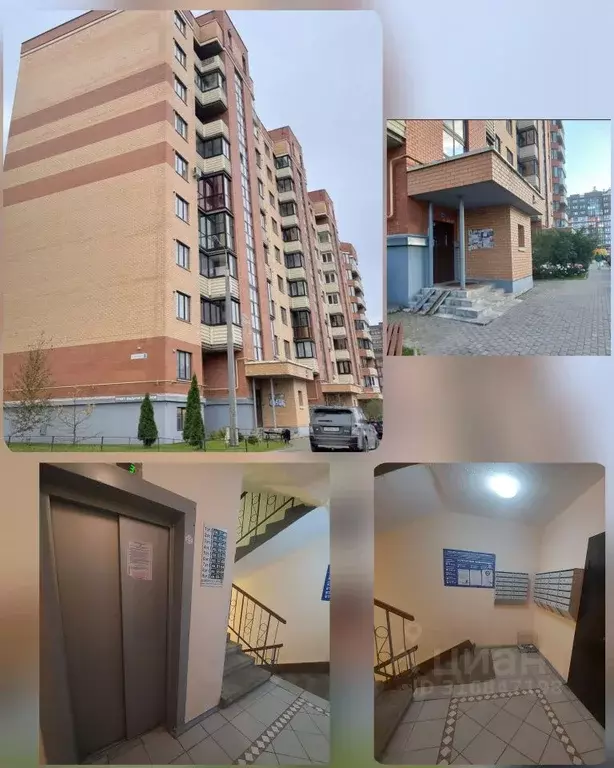 2-к кв. Псковская область, Псковский район, Завеличенская волость, д. ... - Фото 2